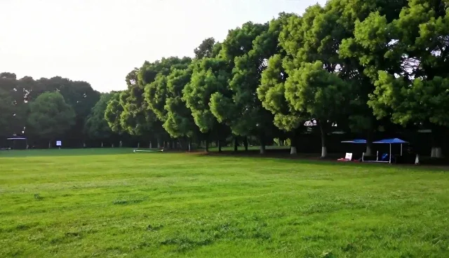 企业管理系统如何通过需求反馈优化性能与适用条件