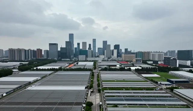 企业管理系统运维服务如何提升效率？
